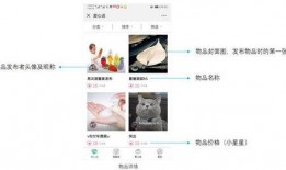 明星爆料操作指南最新,最新操作指南全解析